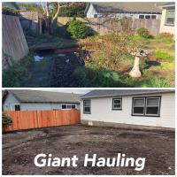 Giant Hauling & Demolition image 5